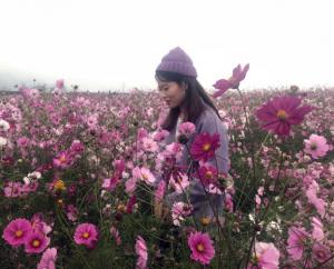 【感動(dòng)青峰人物第四期】熱誠對(duì)工作，含笑待家人——感動(dòng)青峰人物之劉含笑